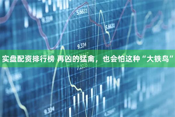 实盘配资排行榜 再凶的猛禽，也会怕这种“大铁鸟”