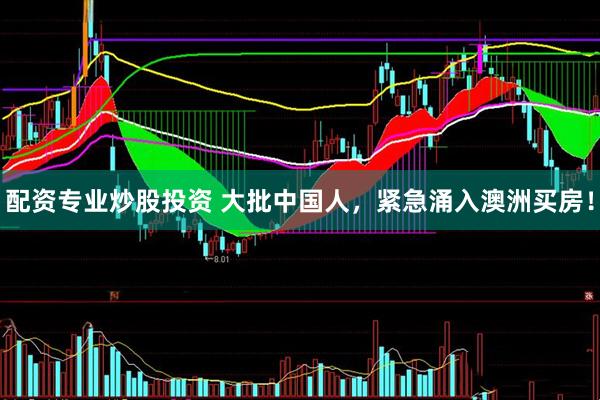 配资专业炒股投资 大批中国人，紧急涌入澳洲买房！