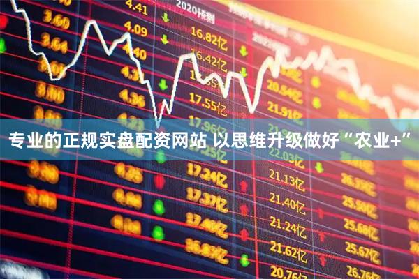 专业的正规实盘配资网站 以思维升级做好“农业+”