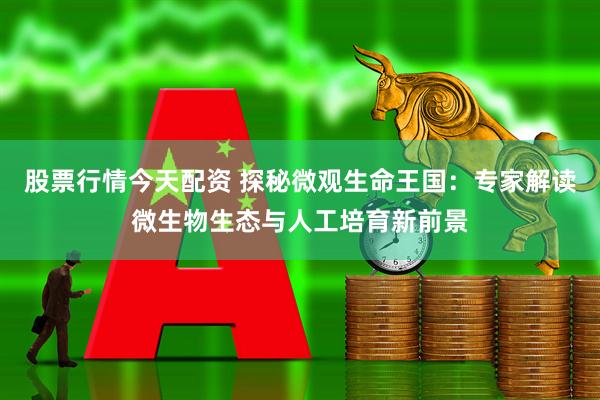 股票行情今天配资 探秘微观生命王国：专家解读微生物生态与人工培育新前景